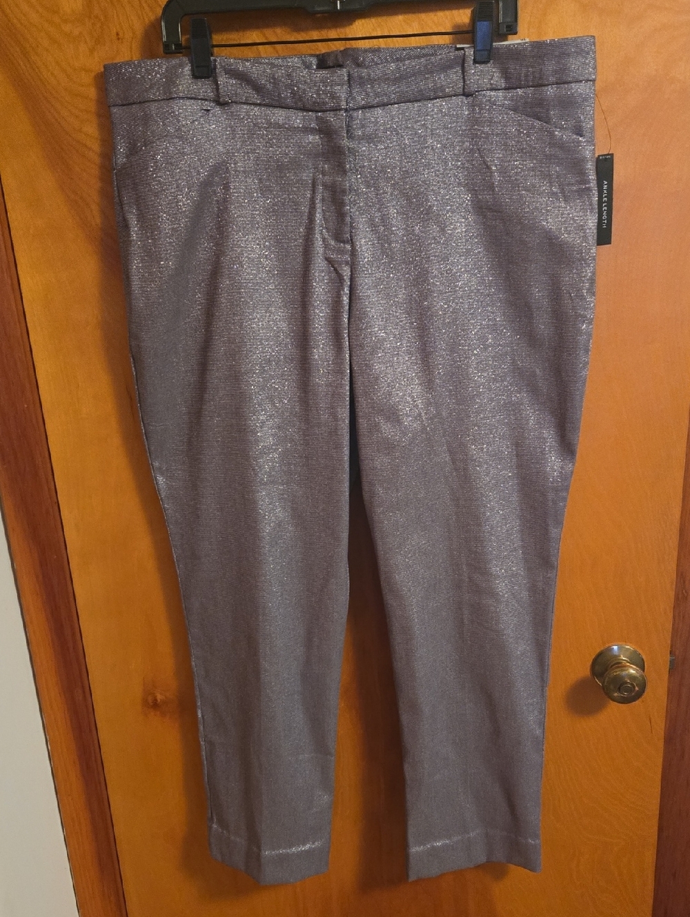 NWT Silver Slim Fit Pants